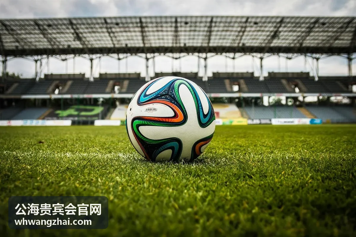 公海贵宾会圈层对接