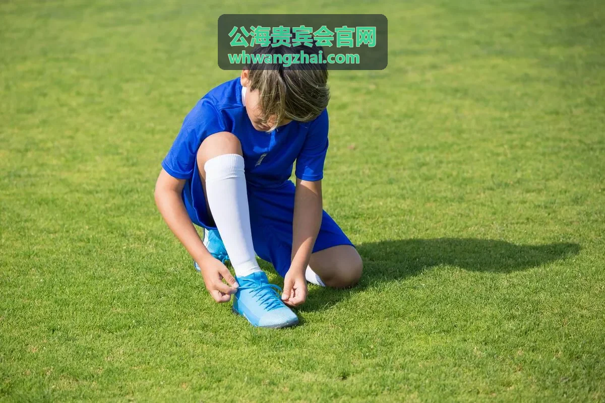 公海贵宾会资源整合